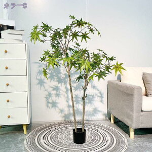 2000~OFFN[| Ύ tFCNO[ ^  lHϗtA tFCN A   i` Vzj JXj JƏj a Cxg {  rO 