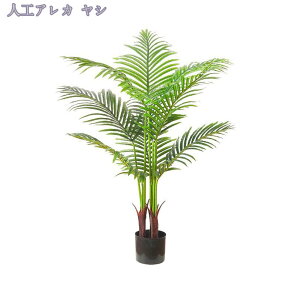 lHϗtA tFCNO[ ϗtA ^ CeA  JXj JƏj tFCNO[  ϗtA tFCN i` A lHϗtA  tFCNO[