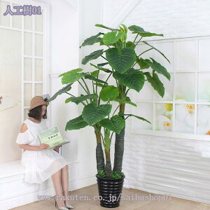 1000~OFFN[| Ύ lHϗtA ^ tFCNO[ CeA Ƃ̒ɒu  bȂ sv z[  Lb` ItBX tFCNO[ G鎞ɐ^