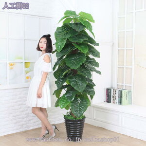 2000~OFFN[| Ύ lHϗtA ^ tFCNO[ CeA Ƃ̒ɒu  bȂ sv z[  Lb` ItBX tFCNO[ G鎞ɐ^