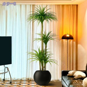 Ύ ^ tFCNO[ { tFCNϗtA lHϗtA A CeA JXj Vzj Vv ItBX    Mtg v[g tFCNO