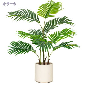 tFCNO[ ^ lHϗtA ϗt ItBX  CeA  O ~͐A ϗtA lHϗtA sv ͂Ȃ ȒP tFCNA i` lHϗt