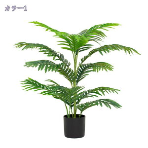 1000~OFFN[| tFCNO[ ^ lHϗtA ϗt ItBX  CeA  O ~͐A ϗtA lHϗtA sv ͂Ȃ ȒP tFCNA i`