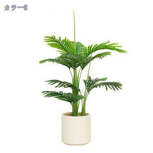 1000~OFFN[| tFCNO[ tFCNϗtA lHϗtA ^ V̖ AJV  rO 傫 { A gsJ CeA j lHϗtA 