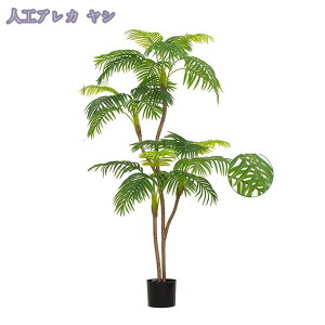 1000~OFFN[| tFCNO[ ^ lHϗtA lH V ϗtA i`ȕ͋C lHϗt lH _ȑ lH  ϗtA  A rO[