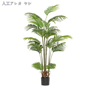 tFCNO[ ^ ϗtA tFCNc[ A lH lH i` A V lHϗtA j ItBX rO CeA A 傫  킢 tFC