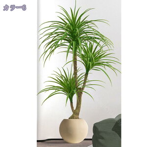 1000~OFFN[| tFCNO[ ^ lHϗtA lH V ϗtA i`ȕ͋C lHϗt lH _ȑ lH  V̖ ϗtA  X A 