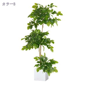 tFCNO[ lHϗtA Km tFCN lHϗtA ^  CeA A  ϗt hZi 160cm/140cm Vv ItBX  X t ϗt rO 