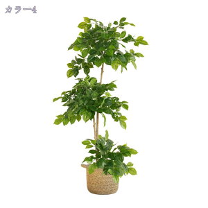 tFCNO[ lHϗtA Km tFCN lHϗtA ^  CeA A  ϗt hZi 160cm/140cm Vv ItBX  X t ϗt rO 