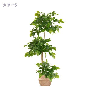 2000~OFFN[| tFCNO[ lHϗtA Km tFCN lHϗtA ^  CeA A  ϗt hZi 160cm/140cm Vv ItBX  X t ϗt