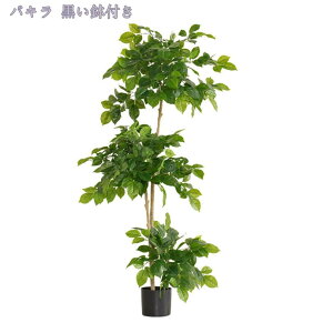 2000~OFFN[| tFCNO[ lHϗtA Km tFCN lHϗtA ^  CeA A  ϗt hZi 160cm/140cm Vv ItBX  X t ϗt