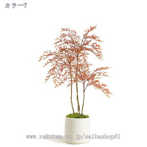 2000~OFFN[| tFCNO[ ^ { tFCNϗtA lHϗtA A ^ CeA V̖ JXj Vzj Vv ItBX     Mt