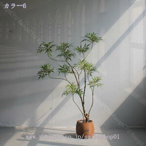 tFCNO[ 1.4M 1.6M lHϗtA ϗt  CeA ItBX rO[ z[ X Q _炩 [̗ N₩ ׍HJ  p[eB[ { 