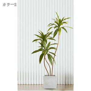 1000~OFFN[| tFCNO[ tFCNϗtA lHϗtA ^ V̖ AJV  rO 傫 { A gsJ CeA j lHϗtA 