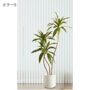 1000~OFFN[| lHϗtA ^ tFCNO[ CeA Ƃ̒ɒu  bȂ sv z[  Lb` ItBX tFCNO[ G鎞ɐ^Ȋ ׍H