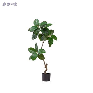 tFCNO[ ^ 160CM i`ȕ͋C  Vv ډB  ϗA lHϗt rO ItBX   CeA Vz JX J j  tFCNO[