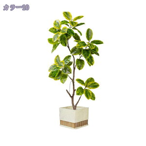 2000~OFFN[| lHϗtA ^ { tFCNO[ RŃA   z[ x_  p _炩 [̗ N₩ ׍HJ ȒPb炸 sv 