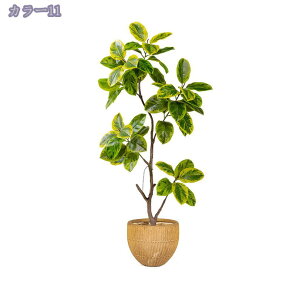 lHϗtA ^ { tFCNO[ RŃA   z[ x_  p _炩 [̗ N₩ ׍HJ ȒPb炸 sv tFCNc[ 