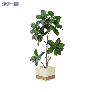 2000~OFFN[| lHϗtA ^ { tFCNO[ RŃA   z[ x_  p _炩 [̗ N₩ ׍HJ ȒPb炸 sv 