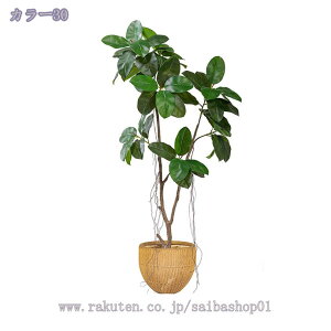 1000~OFFN[| tFCNO[ lHϗtA ^ CeA  rO ItBX  Q  lHϗtA ϗtA 킢  sv ȒPb炸 Mtg v