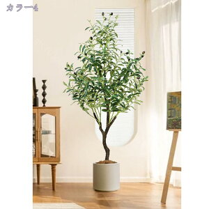 1000~OFFN[| tFCNO[ ^ lHϗt ϗtA p   Vv ItBX  CeA lHϗtA tFCNO[ sv 픫 ȒPb炸 