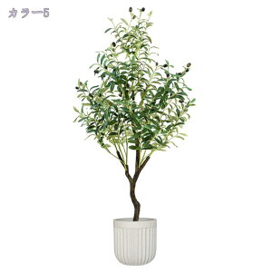 1000~OFFN[| tFCNO[ ^ lHϗt ϗtA p   Vv ItBX  CeA lHϗtA tFCNO[ sv 픫 ȒPb炸 