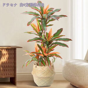 1000~OFFN[| lHϗtA ^ { 傫  lH A ^ CeA JX JƏj  rO tFCNO[ sv A ͂Ȃ ~