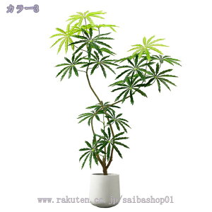 2000~OFFN[| lHϗtA ^TCY ~͐A tFCNO[ CeA  ƒ  rO ItBX sv ͂Ȃ QȂ lHϗtA  ȒP