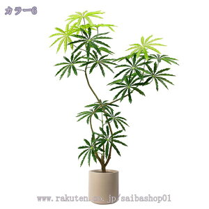 2000~OFFN[| lHϗtA tFCNO[ ϗtA  ^ VFt i` J|bNc[ A G鎞ɐ^Ȋ [J ^ lHϗtA CeA  O t