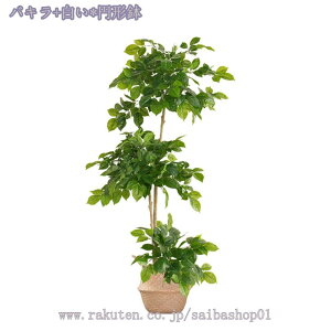 2000~OFFN[|  Vv ^ tFCNO[ ^ ډB  ϗA lHϗt rO ItBX   CeA Vz JX J j lHϗt  tFCN