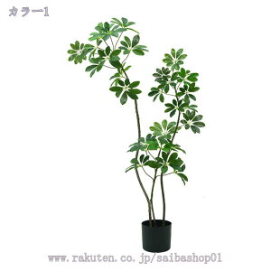 1000~OFFN[| lHϗtA ^ tFCNO[ ^ RŃA   z[ x_  p ȒP sv Q̐SzȂ CeA tFCNO[ l