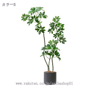 tFCNO[ ^ K̖ hZi lHϗtA lHϗt ϗtA tFCN  t   ItBX CeA JXj ȒP sv Q̐SzȂ t