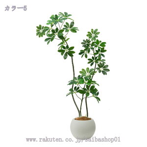 1000~OFFN[| tFCNO[ ^ K̖ hZi lHϗtA lHϗt ϗtA tFCN  t   ItBX CeA JXj ȒP sv 