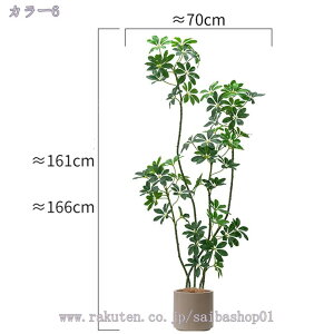 tFCNO[ ^ K̖ hZi lHϗtA lHϗt ϗtA tFCN  t   ItBX CeA JXj ȒP sv Q̐SzȂ t