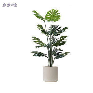 1000~OFFN[| lHϗtA ^ CeA tFCNO[ 񂹐A hZi 픫 JXj Vzj aj j  X^CbV tFCNO[ ItBX 