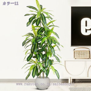 3500~OFFN[| lHϗtA ^ tFCNO[ RŃA   z[ x_  p ȒP sv Q̐SzȂ CeA tFCNO[ ^ l