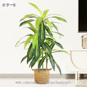 1000~OFFN[| lHϗtA ^ tFCNO[ lHϗtA X GgX c ItBX E P  ze [ j JXj JƏj Km tFCN