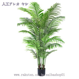 1000~OFFN[| lHϗtA ^  tFCNO[ tFCNϗtA CeA  rO   ze [ JXj JƏj 傫 tFCNO[ 