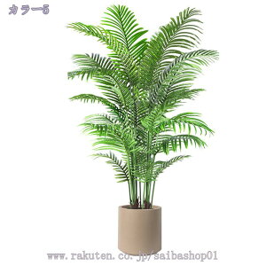 1000~OFFN[| lHϗtA ^  tFCNO[ tFCNϗtA CeA  rO   ze [ JXj JƏj 傫 tFCNO[ 