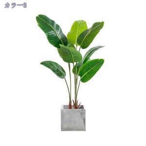 1000~OFFN[| tFCNO[ ^ lHϗtA ϗt ItBX  CeA ϗtA tFCN 160cm/180cm lHϗtA  O sv ͂Ȃ ȒP ~͐A t