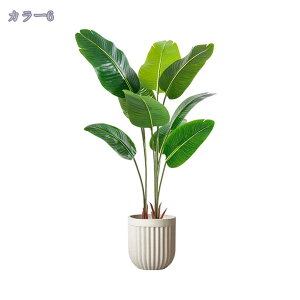 1000~OFFN[| tFCNO[ ^ lHϗtA ϗt ItBX  CeA ϗtA tFCN 160cm/180cm lHϗtA  O sv ͂Ȃ ȒP ~͐A t