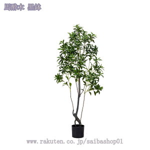 2000~OFFN[| lHϗtA ^ tFCNO[ RŃA   z[ x_  p ȒP sv Q̐SzȂ CeA tFCNO[ ^ l