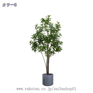 lHϗtA tFCNO[ ϗtA  tFCNc[ ^ tFCNO[ CeA  tFCN[J 150cm lHϗtA  O tFCNA lHϗtA 