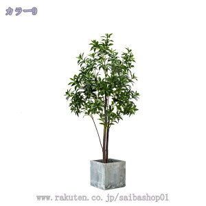 2000~OFFN[| lHϗtA ^ tFCNO[ RŃA   z[ x_  p ȒP sv Q̐SzȂ CeA tFCNO[ ^ l