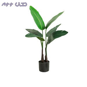 1000~OFFN[| tFCNO[ ^ Ύ  i` lHϗtA A  p z[ 뉀 v[g p[eB[ Vz JX J Cxg a j gsJA