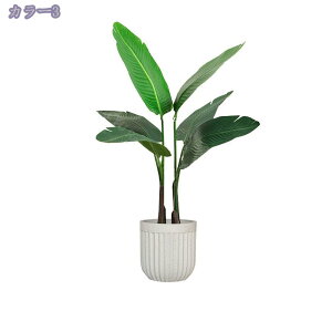 777~OFFN[| lHϗtA ^ { tFCNO[  ƒ 悯oRj[ z[ x_ Iȑ 邭u₩ ͂Ȃ i` ~͐A gsJA 