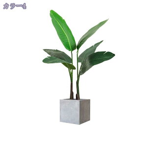 777~OFFN[| lHϗtA ^ { tFCNO[  ƒ 悯oRj[ z[ x_ Iȑ 邭u₩ ͂Ȃ i` ~͐A gsJA 