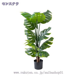 lHϗtA 傫 lH tFCNO[ ϗt CeA   AȎ}t ϗtA CeAO[ lHϗtA ͂Ȃ JX Vzj Iȑ 傫