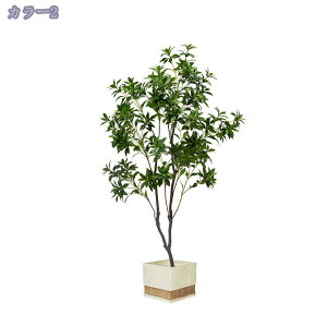 2000~OFFN[| lHϗtA ^ tFCNO[ K̖ lHϗt  ItBX JƏj JXj ȒP sv Q̐SzȂ ȒP Iȑ tFCNO