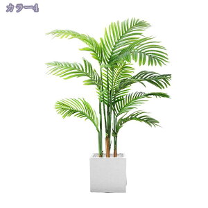 1000~OFFN[| lHϗtA tFCNO[ ^ CeA Ƃ̒ɒu lHϗtA  bȂ sv z[  Lb` ItBX tFCNO[  G